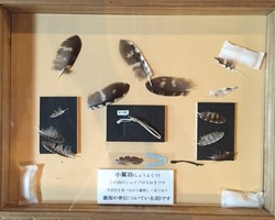 IMG_0226 IMG_0226