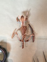 IMG_0234 IMG_0234