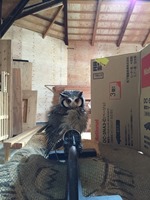 IMG_0235 IMG_0235