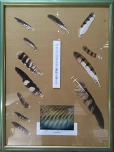 IMG_0255 IMG_0255