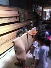 IMG_0281 IMG_0281