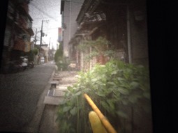 IMG_0500[1]