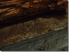 P7210273