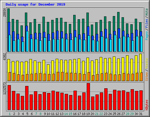 Daily usage for December 2019