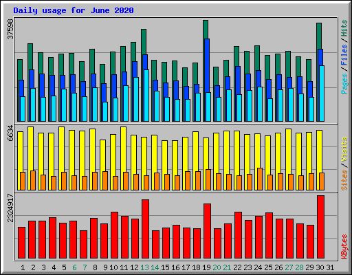 Daily usage for June 2020