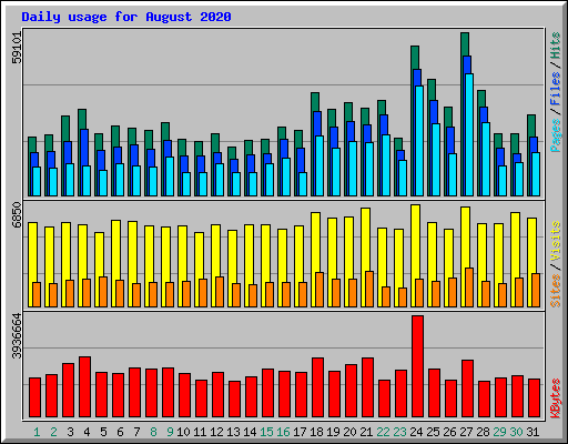 Daily usage for August 2020