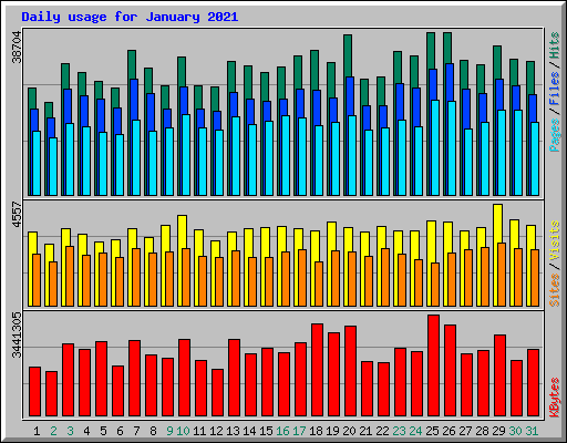 Daily usage for January 2021