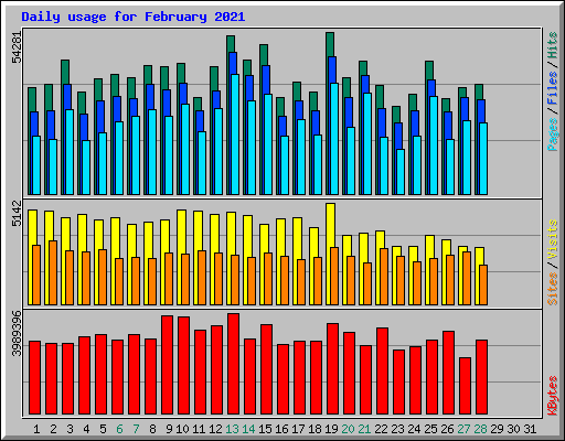 Daily usage for February 2021