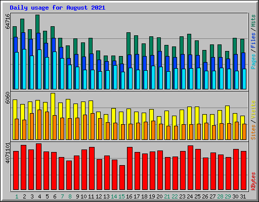 Daily usage for August 2021