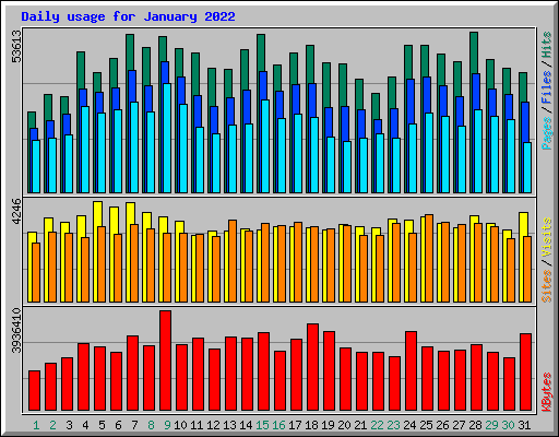 Daily usage for January 2022