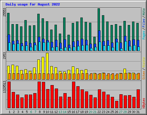 Daily usage for August 2022