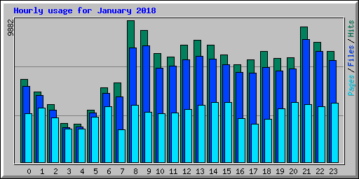 Hourly usage for January 2018