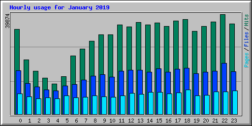 Hourly usage for January 2019