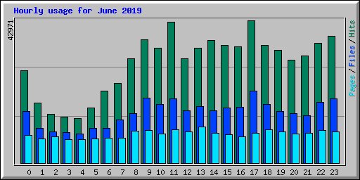 Hourly usage for June 2019