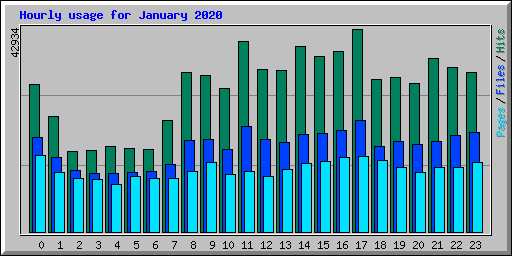 Hourly usage for January 2020