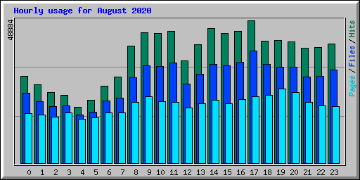 Hourly usage for August 2020