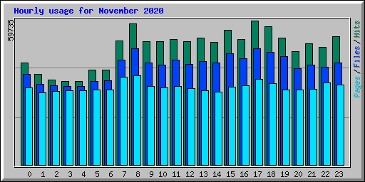 Hourly usage for November 2020