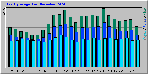 Hourly usage for December 2020