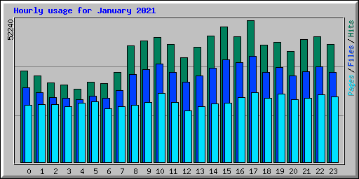 Hourly usage for January 2021