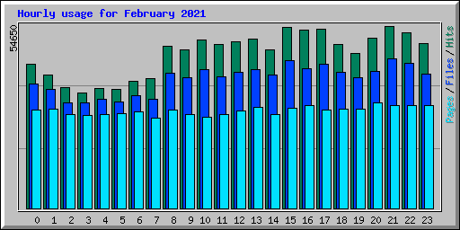 Hourly usage for February 2021