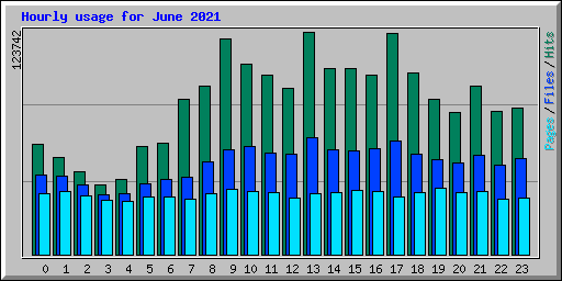 Hourly usage for June 2021