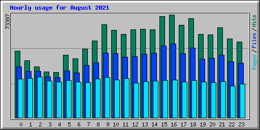 Hourly usage for August 2021