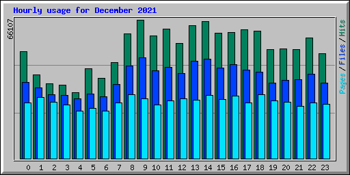 Hourly usage for December 2021