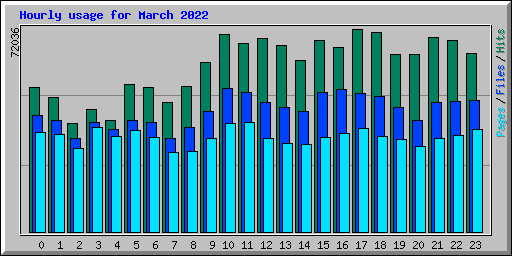 Hourly usage for March 2022