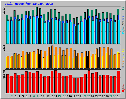 Daily usage for January 2022