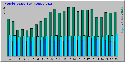 Hourly usage for August 2018