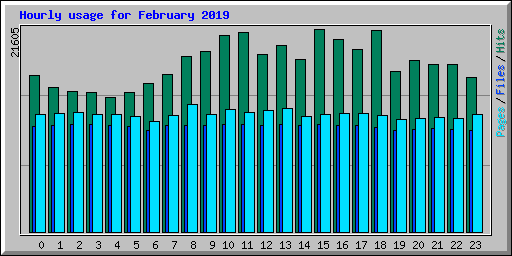 Hourly usage for February 2019