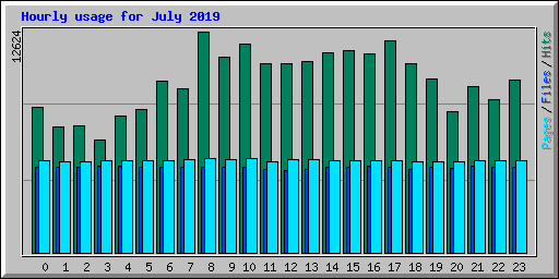 Hourly usage for July 2019