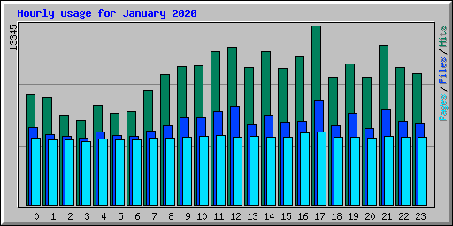Hourly usage for January 2020