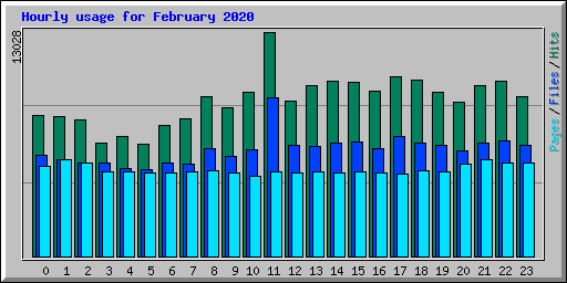 Hourly usage for February 2020