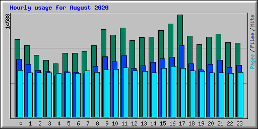 Hourly usage for August 2020