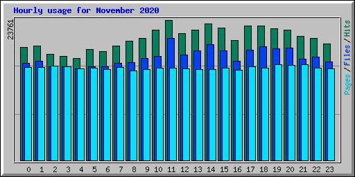 Hourly usage for November 2020