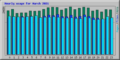 Hourly usage for March 2021