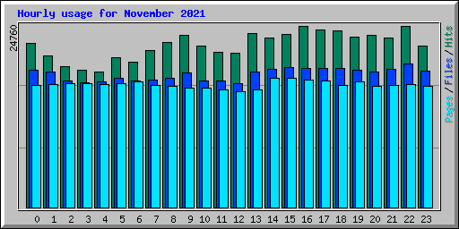 Hourly usage for November 2021